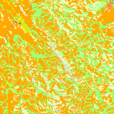 Export Image